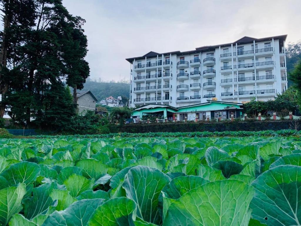 Apartmán The Teak By Lakbima Nuwara Eliya Exteriér fotografie
